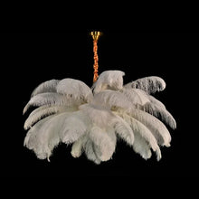 Handwoven Feather Pendant Chandelier